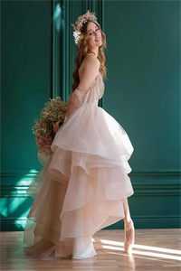 长风万里不递书傅恃明黎春夏大结局