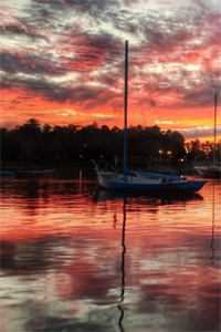 病美人嫁疯批，全大院坐等吃席顾北戎盛声晚无删减全文