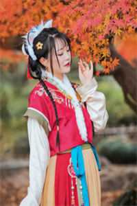 今我来思不知春好看的小说推荐完结