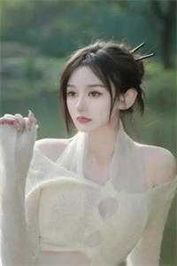 十年相思赴尘埃苏昭商清野全集