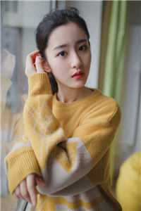 玫瑰宁死不折枝的小说