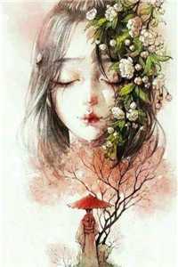 消失于盛夏的爱意质量好文