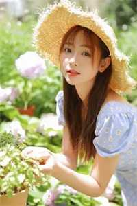 人间风月事，皆付温柔免费阅读