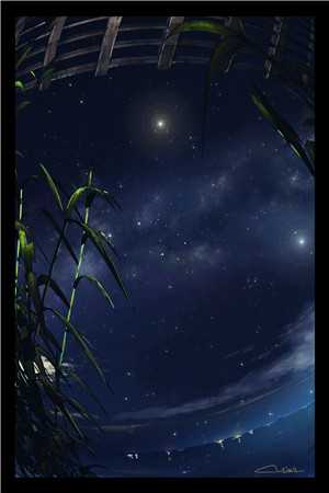 浮生尽处是寻常完结版