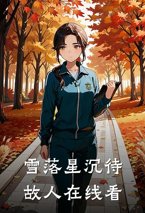 雪落星沉待故人在线看