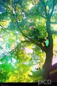 故山犹负平生约无删减+无广告