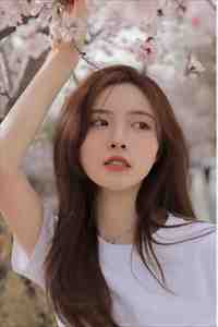 月色吻过梧桐雨江照月周寒川无删减+无广告