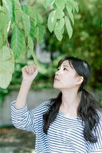 晚时风，吹散你小说全文免费