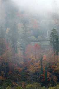 离亭饮罢，一别两宽必读文