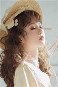 风月人间共白头全文+免费