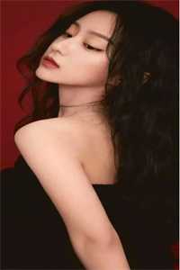 风月人间共白头良心推荐