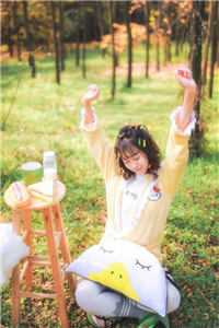 爱填山海，梦葬繁花陆景辞许微仪结局+番外