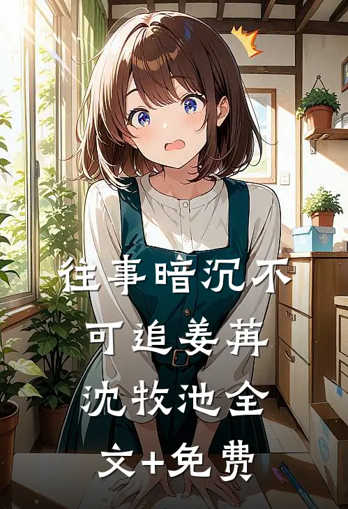 往事暗沉不可追姜苒沈牧池全文+免费