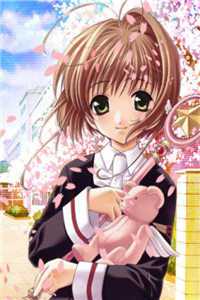 风要飞往辽阔天空倪青澜沈知砚小说结局