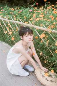 月亮说不出情话小说