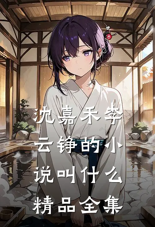 沈嘉禾李云铮的小说叫什么精品全集