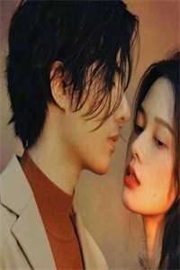 权力巅峰：靠把柄，拿捏官场无删减版