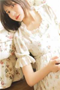 夏日回响在线看