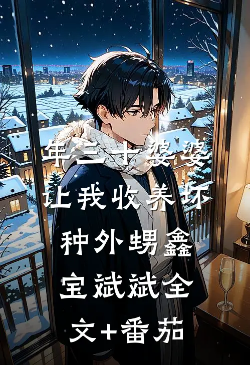 年三十婆婆让我收养坏种外甥鑫宝斌斌全文+番茄