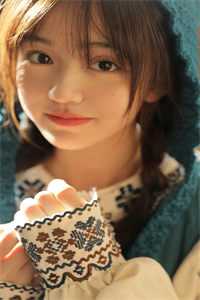 南城积雪已成空后续