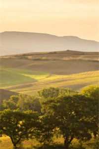 山后别相逢全局