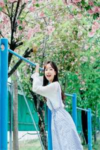 情深不寿终成影列表