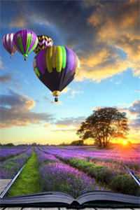 奈何偏爱做惊鸿畅读