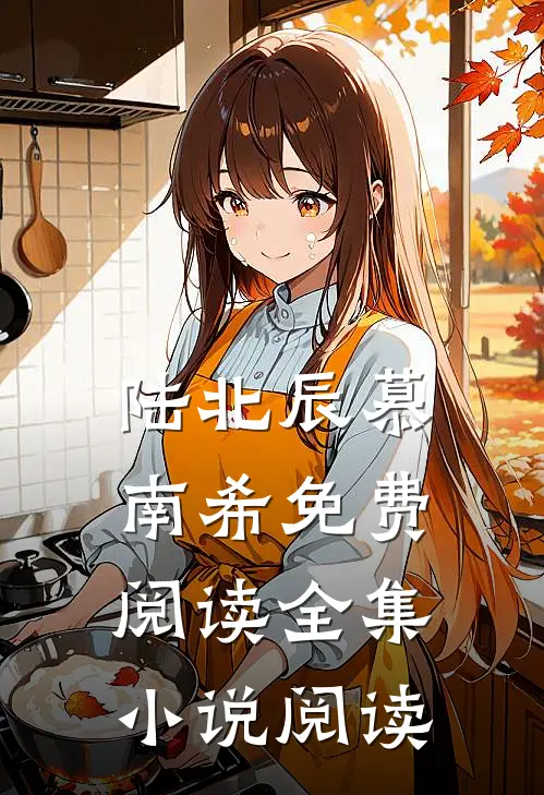 陆北辰慕南希免费阅读全集小说阅读