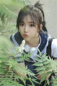 今我来思，雨雪霏霏完整阅读