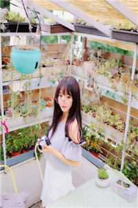 人间烟火渡余生短篇