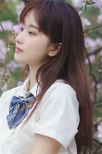 朝夕无归，旧梦难追火爆小说