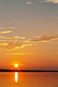 逃不掉，疯批财阀的掌心娇惹火烧无删版