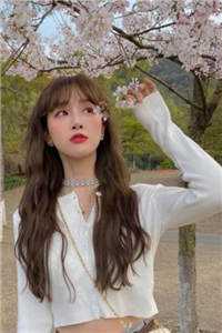 妻子的天价蜜月人气小说