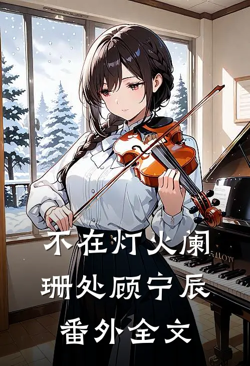 不在灯火阑珊处顾宁辰： 番外全文