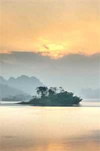 穿越成军嫂，从躺平开始爆款宝藏