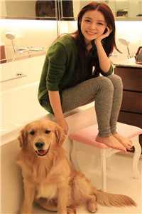 此后晚风皆是你全新