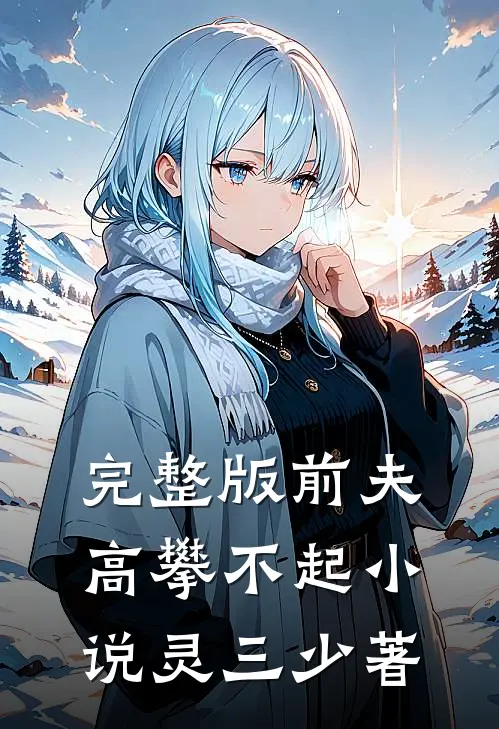 完整版前夫,高攀不起 小说灵三少著