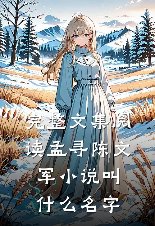 完整文集阅读孟寻陈文军小说叫什么名字