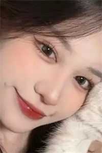 月亮说不出情话的小说