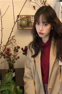 七年雪落，爱已成空免费阅读全文