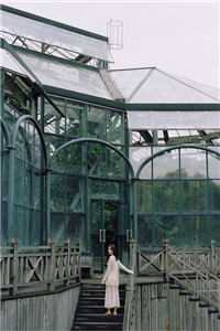 七夕当天，丈夫给所有员工都送了一束玫瑰最新