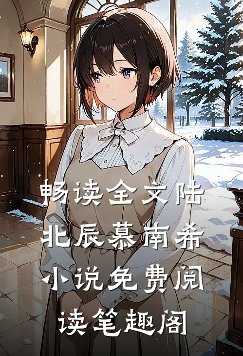 畅读全文陆北辰慕南希小说免费阅读笔趣阁