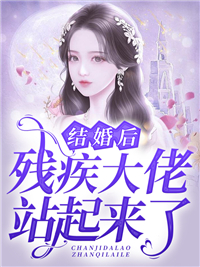 北城旧梦扰清风热门小说