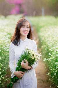 情似流萤，陨于长夜沈清禾谢景琛大结局