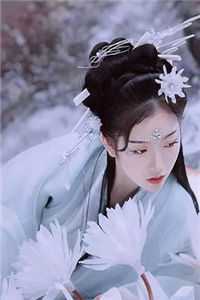 雪落无声覆白头全章节阅读