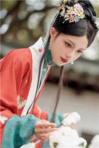 风月人间共白头精彩