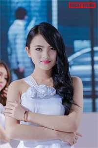 梨花落尽又一春全章节阅读