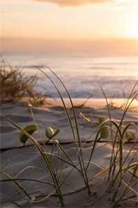 倒贴五年，离婚后前夫成恋爱脑全文+后续