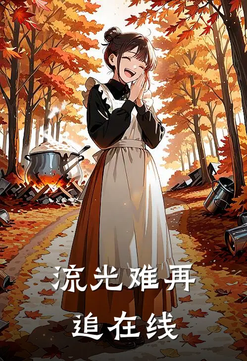 流光难再追在线