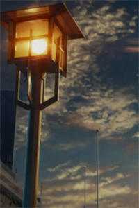 出狱后，诬陷我的妻子和小助理悔疯了完结+番外